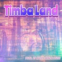 Major Minor Beats - Timba Land