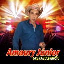 Amaury junior - Quem Quer Levar uma Cunhada Minha