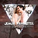 Jimix Vendetta - Stupid Love