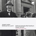 Sinfonie Orchester Biel Solothurn Kaspar… - II Allegro scherzando