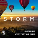 Vedde Stase feat Soul Parker - Beautiful Life Cover