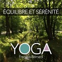 Fran ois Bernard - Harmonie des chakras Original Mix