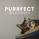 Music for Cats Peace - Perfect Meowment