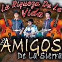 Trio Amigos De La Sierra - Cartas Marcadas
