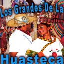 Los Grandes De La Huasteca - El Tepetzinguito