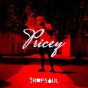 DRIPSOUL - Pricey