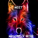 MrLonely Wolf - The Master of Sound