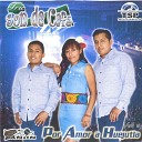 Trio Son de Cafe - Las Poblanitas