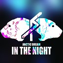 Arctic Dream - In the night