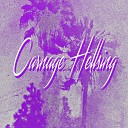 Carnage Hellsing - Crimson Sunset
