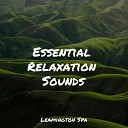 Healing Sounds for Deep Sleep and Relaxation Sol y Lluvia Relaxing Sleep… - Meditation Music