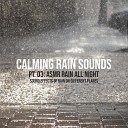 Relaxing Music Zone feat Mario ASMR Studio - Calming Rain Sounds Pt 03