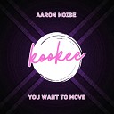 Aaron Noise - You want to move Radio Edit