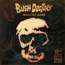 Rennie Pilgrem feat Nine Lives the Cat - Can t Stop This Jem Stone s Birth of Bush Doctors…