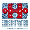 Study Music Guys - Relaxing Music for Focus