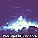 Edward Clark - Potential Of New York