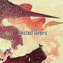 Erik Tapia - Elected Divers
