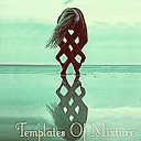 Coleman Faulkner - Templates Of Mixture