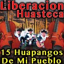 Trio Liberacion Huasteca - El 7 Mares