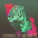 Tessa McNeill - Spinning Of Midnights