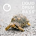 Dreazz - Liquid Drum Bass Sessions 53