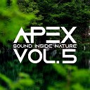Apex Sound Inside Nature - Night In The Desert