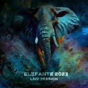 Elefante - Durmiendo Con la Luna Live Session