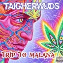 Taigherwuds - Trip to Malana