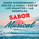 Sabor Musical - Sones Guerrerenses Son de la Rabia Son de los Enanitos Las…