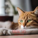 SOUNDS FX MASTER - The Sound of a Cat Purring