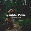 Calming For Dogs - Dog Relaxation Piano Sounds