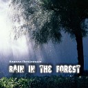 Кирилл Потылицын - Rain in the Forest Ambient mix