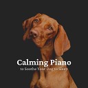 Calming Dog Music - Puppies Under the Keyboard