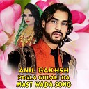 Anil Bakhsh - Rasa Laila Sang Par Sang Pa Ghara Ka Tor…