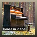 Piano Relaxation - Quietness Melody Piano Sounds Pt 11