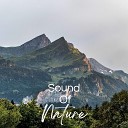 The Nature Soundscapes - 30 Beautiful Nature Sounds Pt 10
