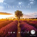 New World - True Nature Club Mix