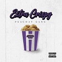 Peacoat Gang - Extra Crispy
