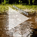 Rain Sounds by Zakariae Witmer Rain Sounds Nature… - Nature Sounds for Anxiety