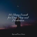 Soothing Chill Out for Insomnia Tonal Meditation Collective Zen Music… - Journey of Peace