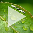 Rain Sounds to Fall Asleep To Rain Sounds Nature… - Falling Rain for Inner Peace