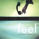 Antonie Kamerling - Silence In My Heart