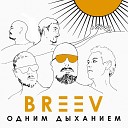 BREEV - Не могу забыть