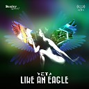 Veta - Like an Eagle