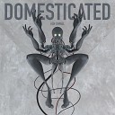 Ash Ismael - Domesticated