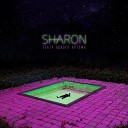 SharOn - Занесло