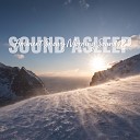 Elijah Wagner - Ambient Snowy Morning Sounds Pt 16