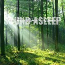 Elijah Wagner - Forest Stillness Daytime Ambience Pt 3