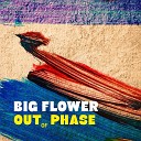 Big Flower - Out of Phase
