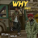 B Flow feat Milz - Why Remix